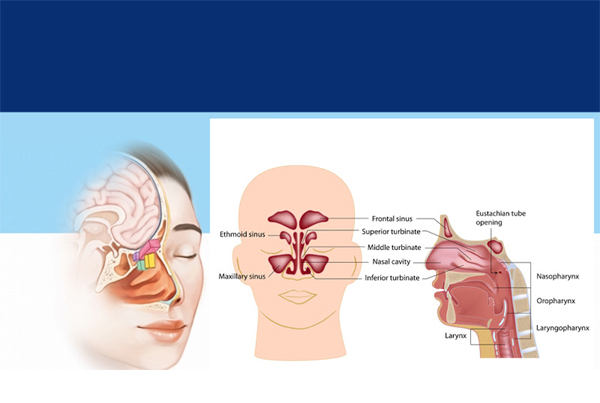Endoscopic Sinus Surgery