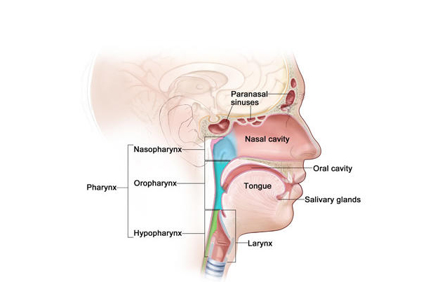 Head and Neck Cancer Surgery
